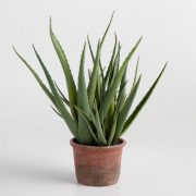 Faux Aloe In Terracotta Pot
