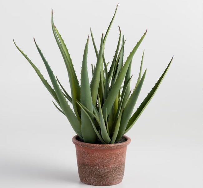 Faux Aloe In Terracotta Pot