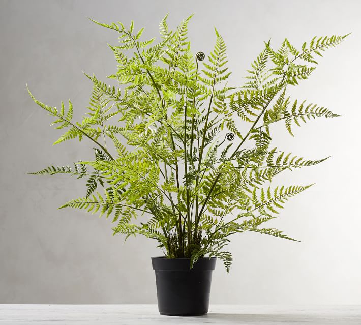 Faux Potted Tree Fern