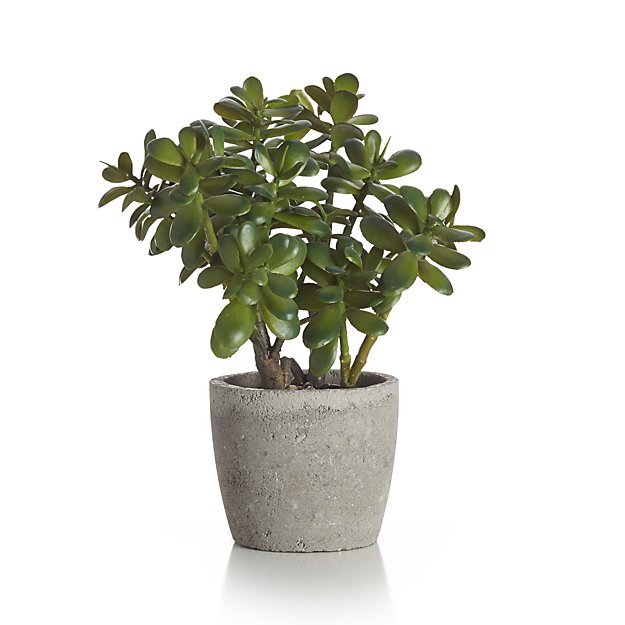 Potted Artificial Jade Plant