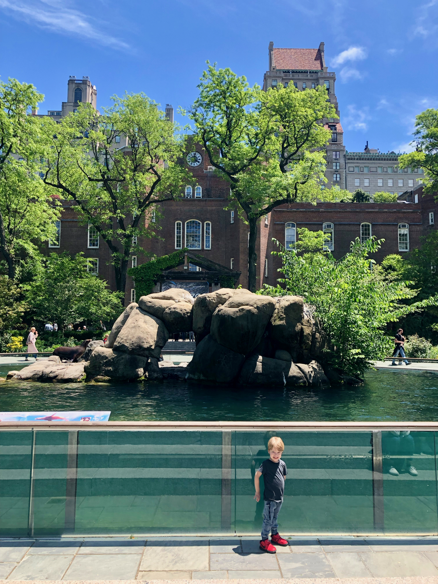 Central Park Zoo, New York City With Kids