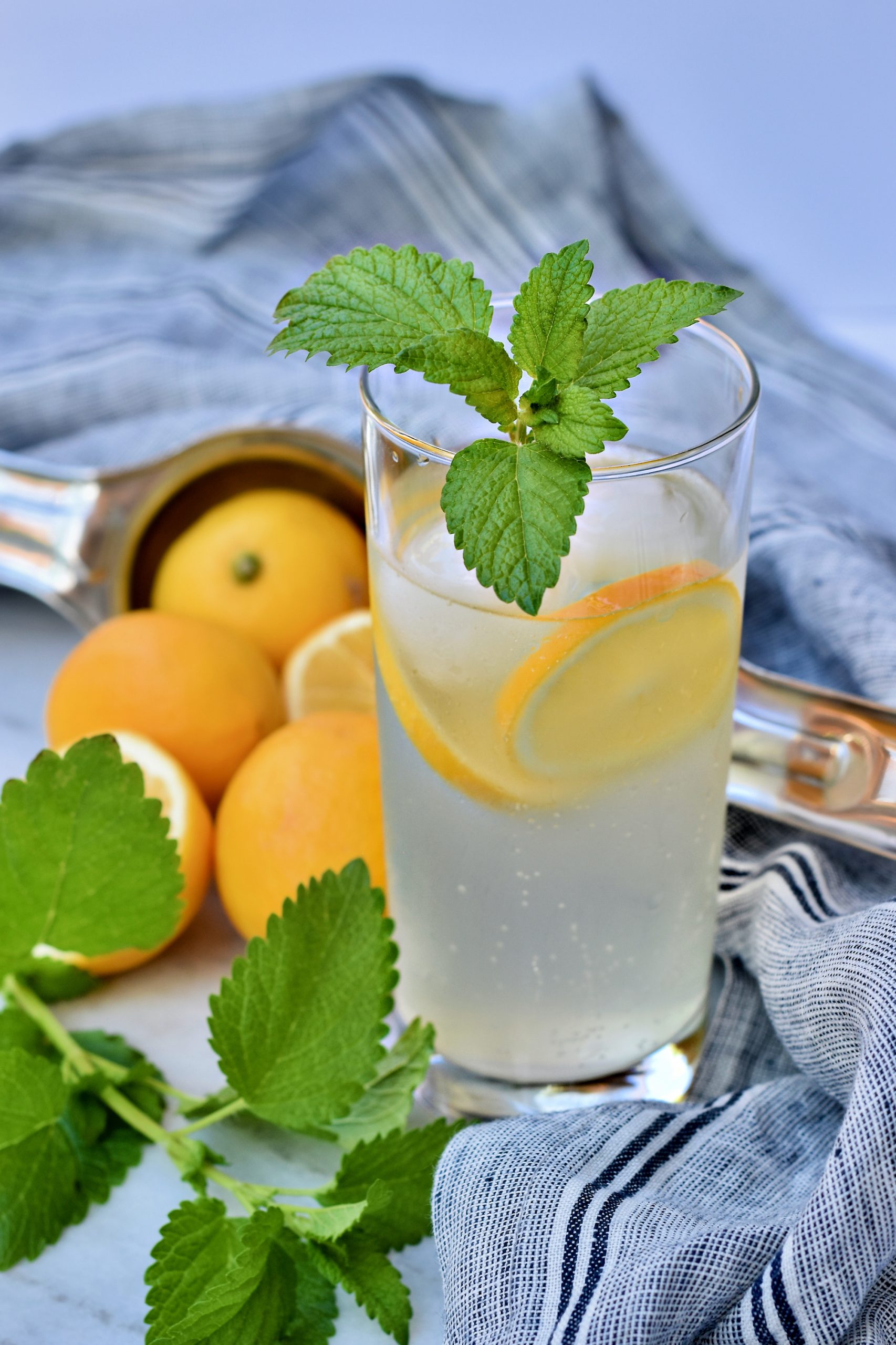 Lemon Balm Gin & Tonic, Raise Magazine Lemon Balm Gin & Tonic, Raise Magazine