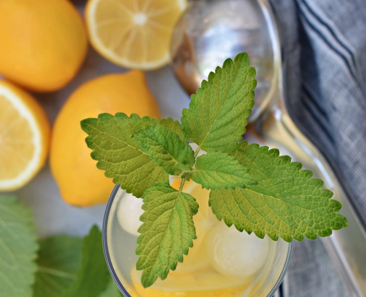 Lemon Balm Gin & Tonic, Raise Magazine