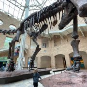 Atlanta Travel Guide: The Best Things to Do In Atlanta With Kids (2021)