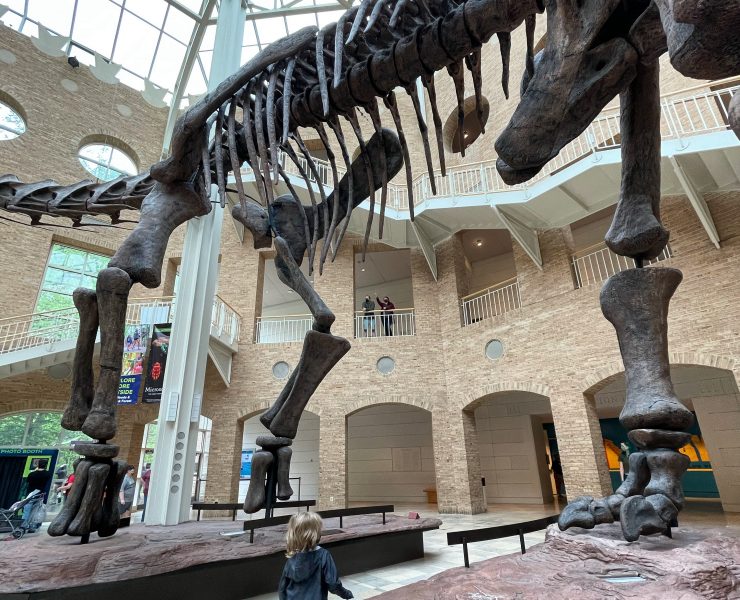 Atlanta Travel Guide: The Best Things to Do In Atlanta With Kids (2021)