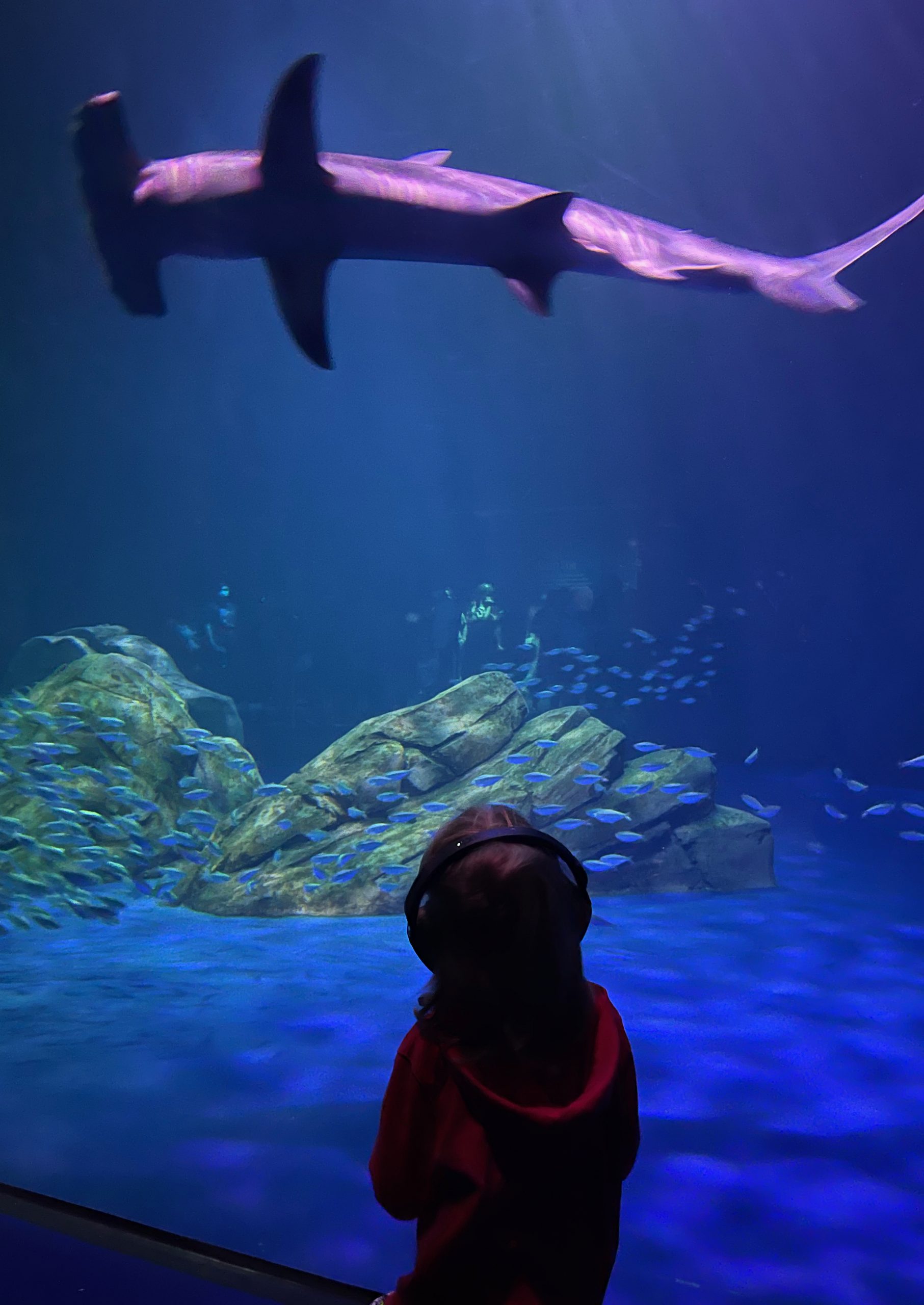 Atlanta Travel Guide: The Best Things to Do In Atlanta With Kids (2021) Atlanta Travel Guide: The Best Things to Do In Atlanta With Kids (2021)