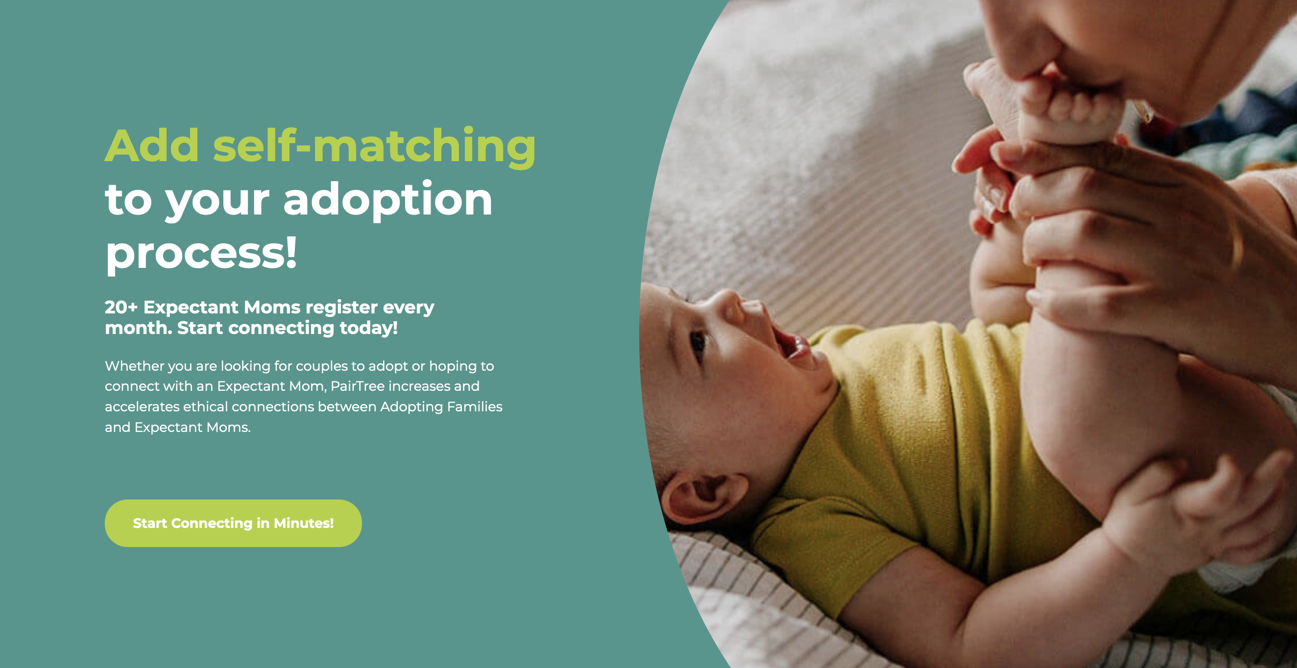 How To Start Your Adoption Process With PairTree How To Start Your Adoption Process With PairTree